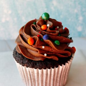 Chocolate Cupcake